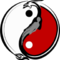 Informations sur les 5 éléments et le yin yang