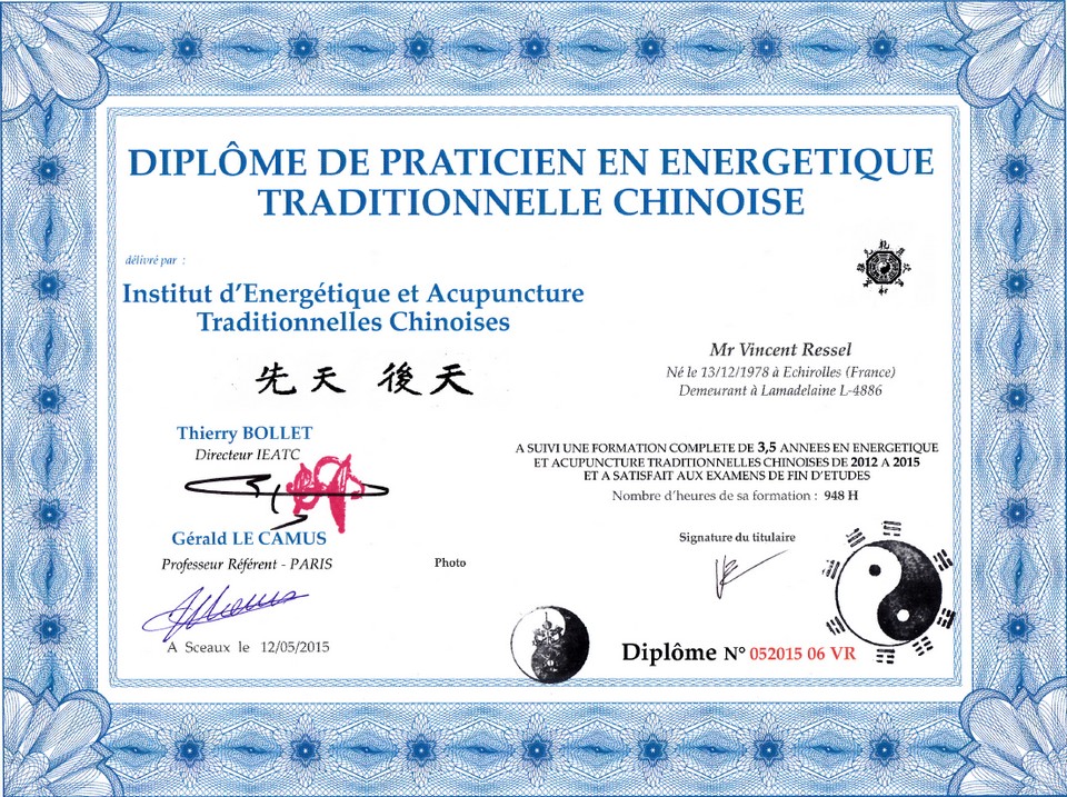 Diplôme Vincent Ressel